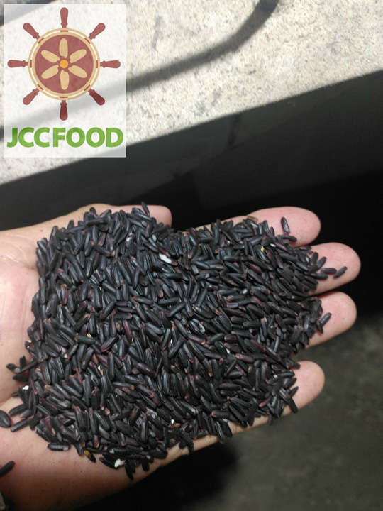 Gạo lứt đen - Gạo JCC - Công Ty Cổ Phần Lương Thực Thực Phẩm JCC